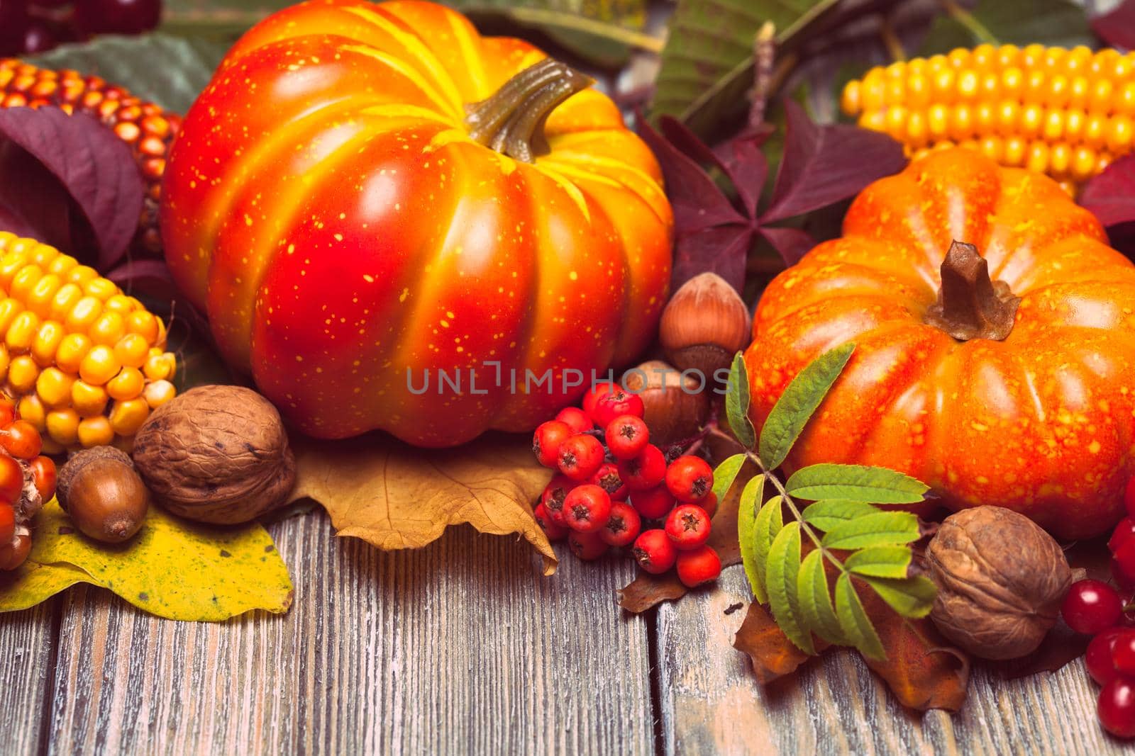 Thanksgiving still life - berries, nuts, corn and pumpkins on a table