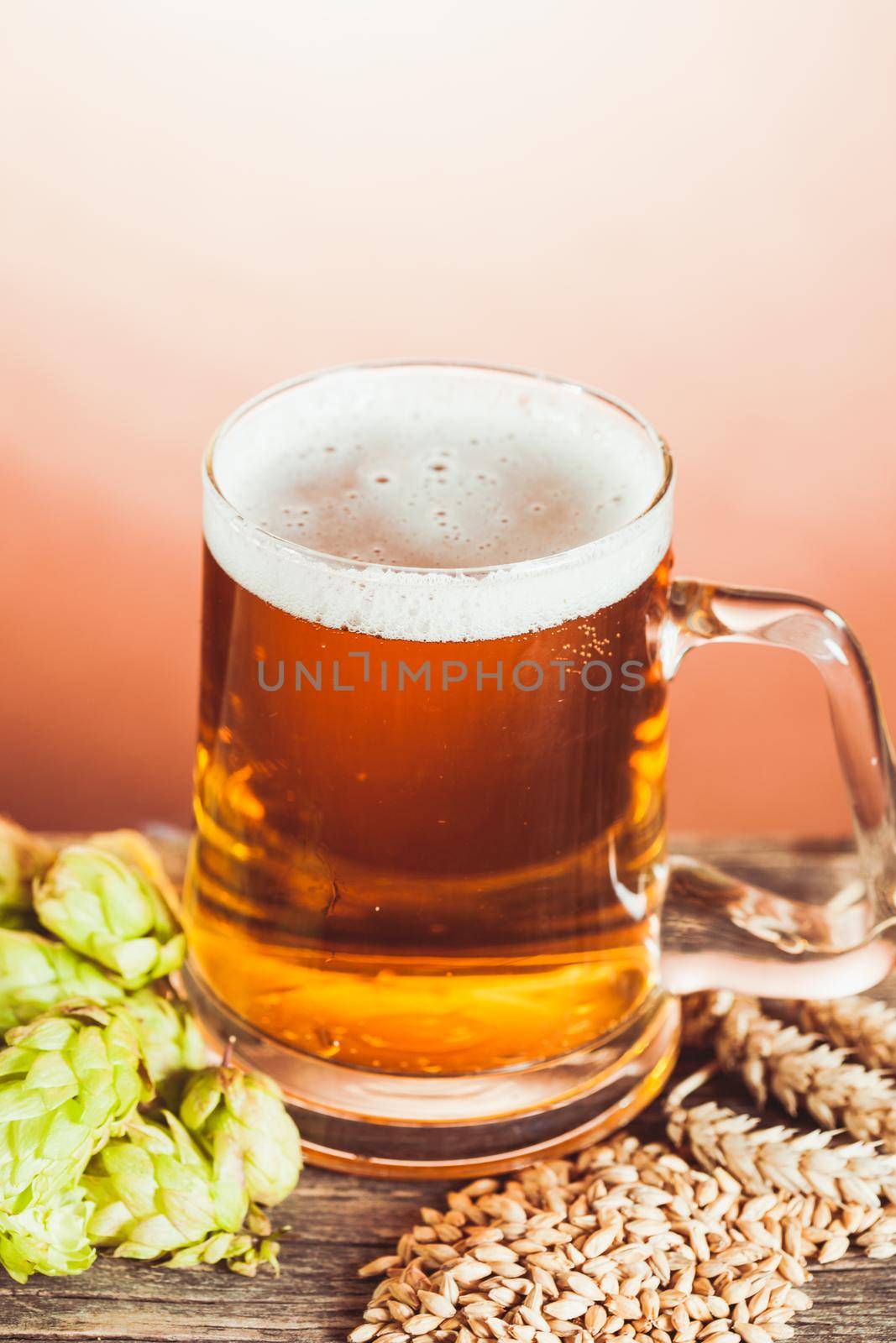 Glass of beer with hops and barley on the wooden table