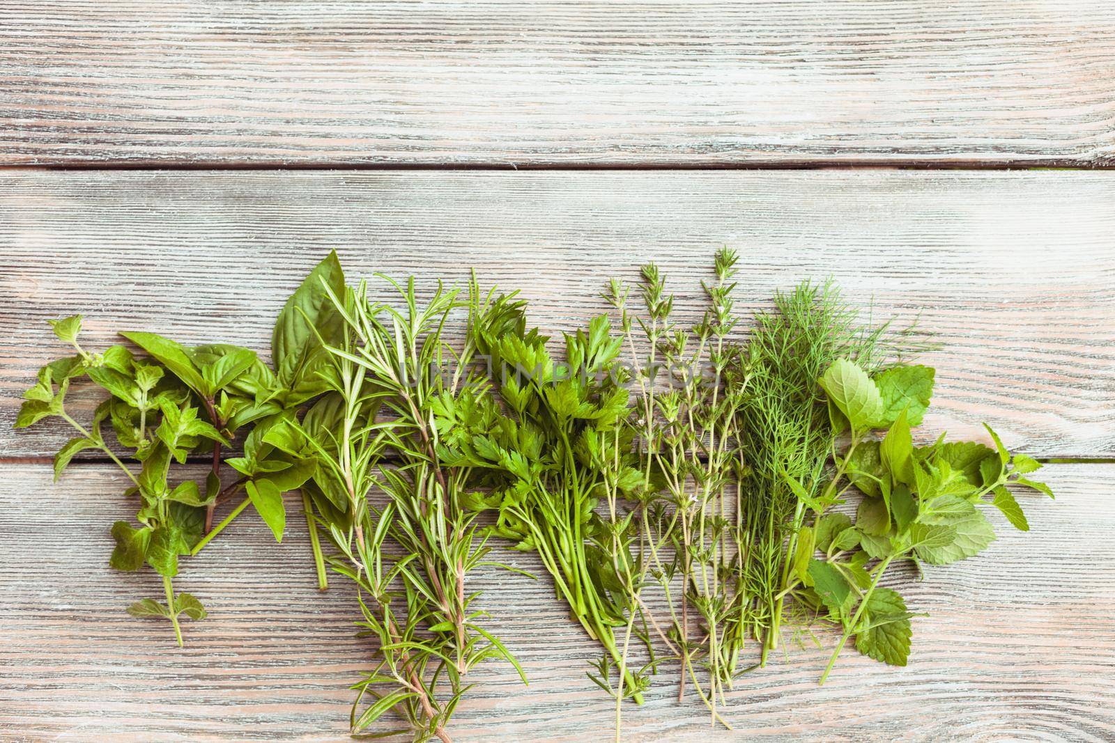 Fresh herbs on the wooden background with copy text