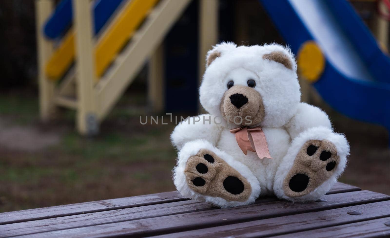 Sad lonely teddy bear. White fluffy teddy bear lonely sits on an old wooden bench in a overgrown garden.