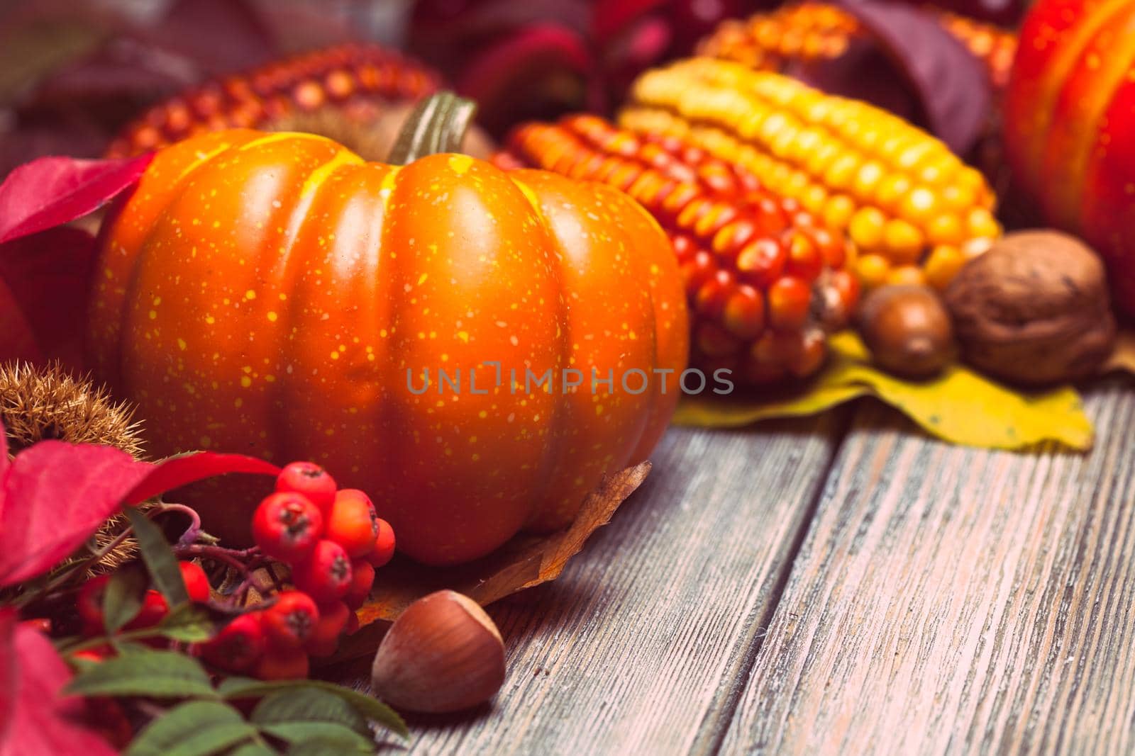 Thanksgiving still life - berries, nuts, corn and pumpkins on a table