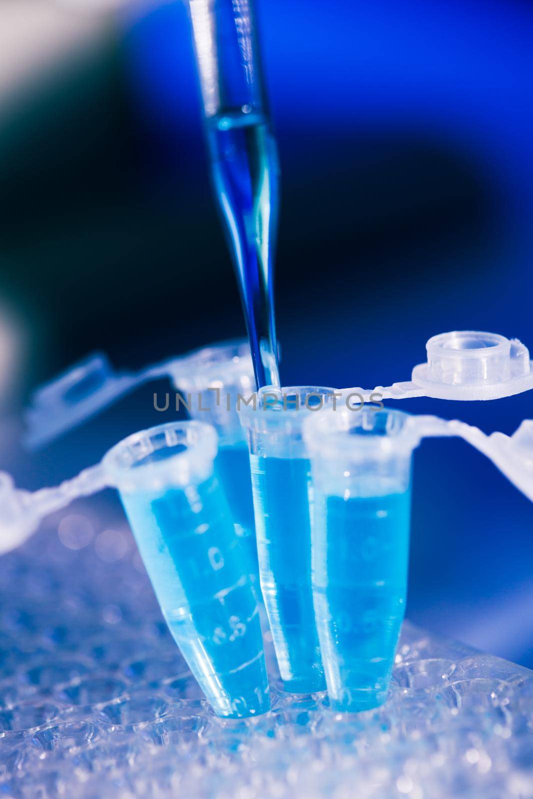 Eppendorf tubes on the rack and pipette. Close up in blue tone