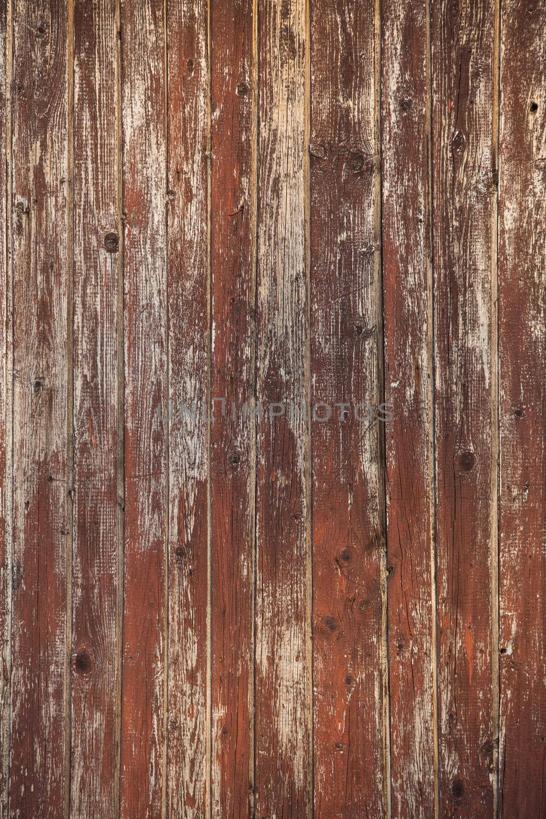 Wooden wall by oksix
