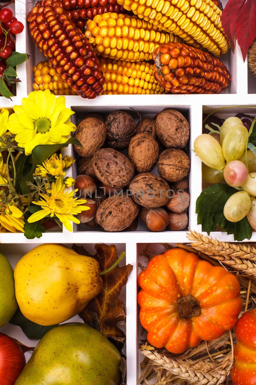 Autumn in a box - fruits, berries, nuts, flowers, corn and pumpkins