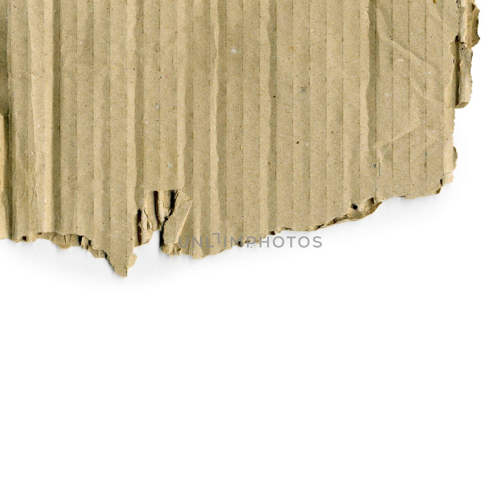Brown corrugated cardboard torn isolated on white background with place for text