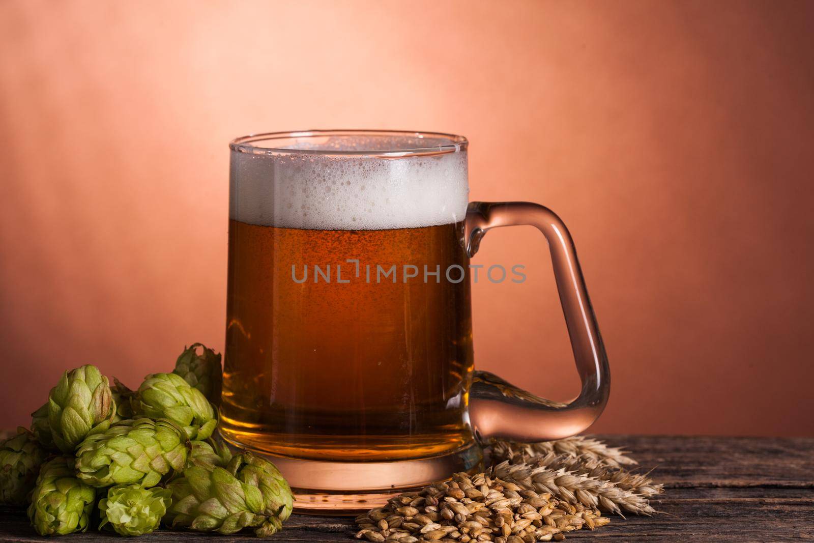 Glass of beer with hops and barley on the wooden table