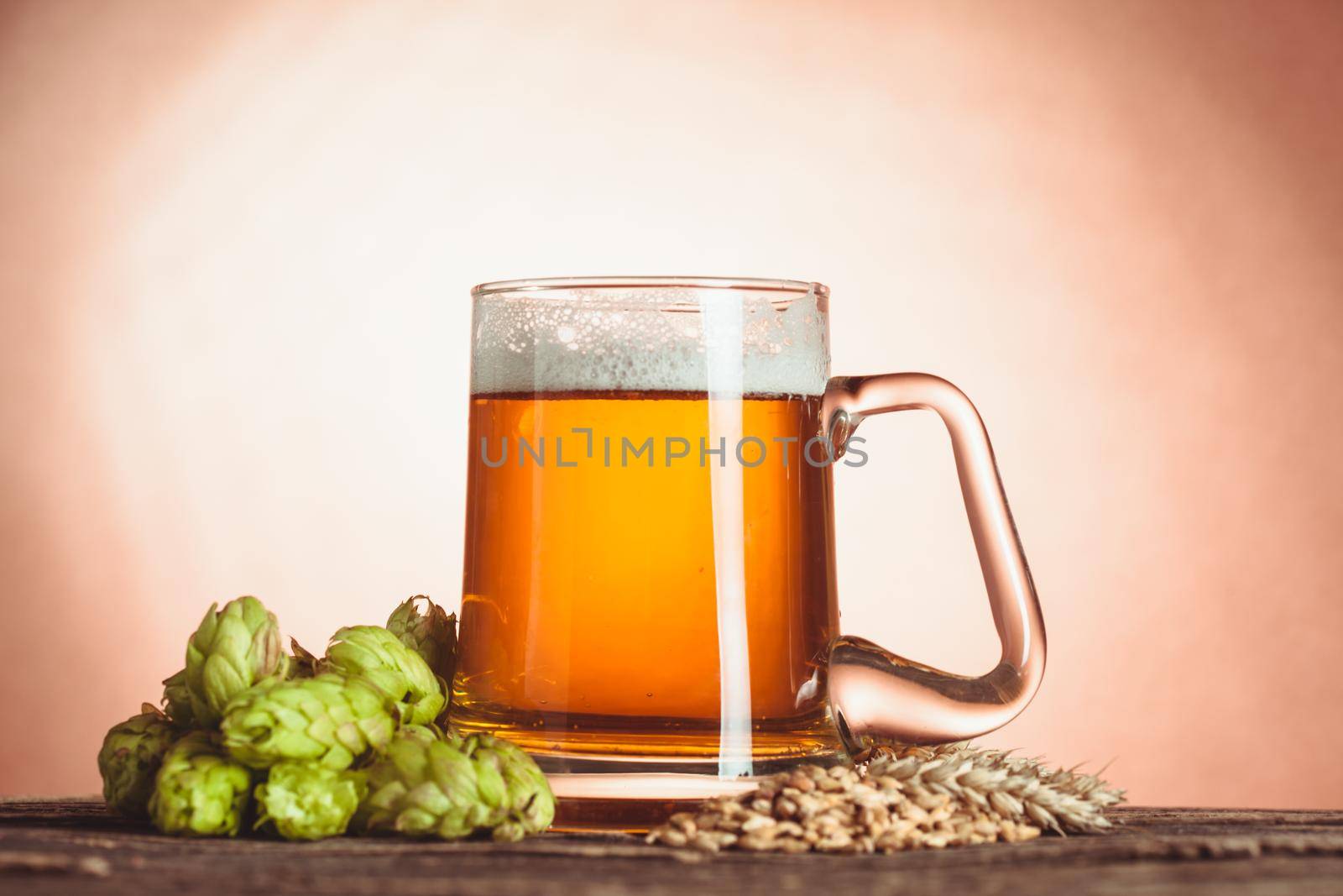 Glass of beer with hops and barley on the wooden table