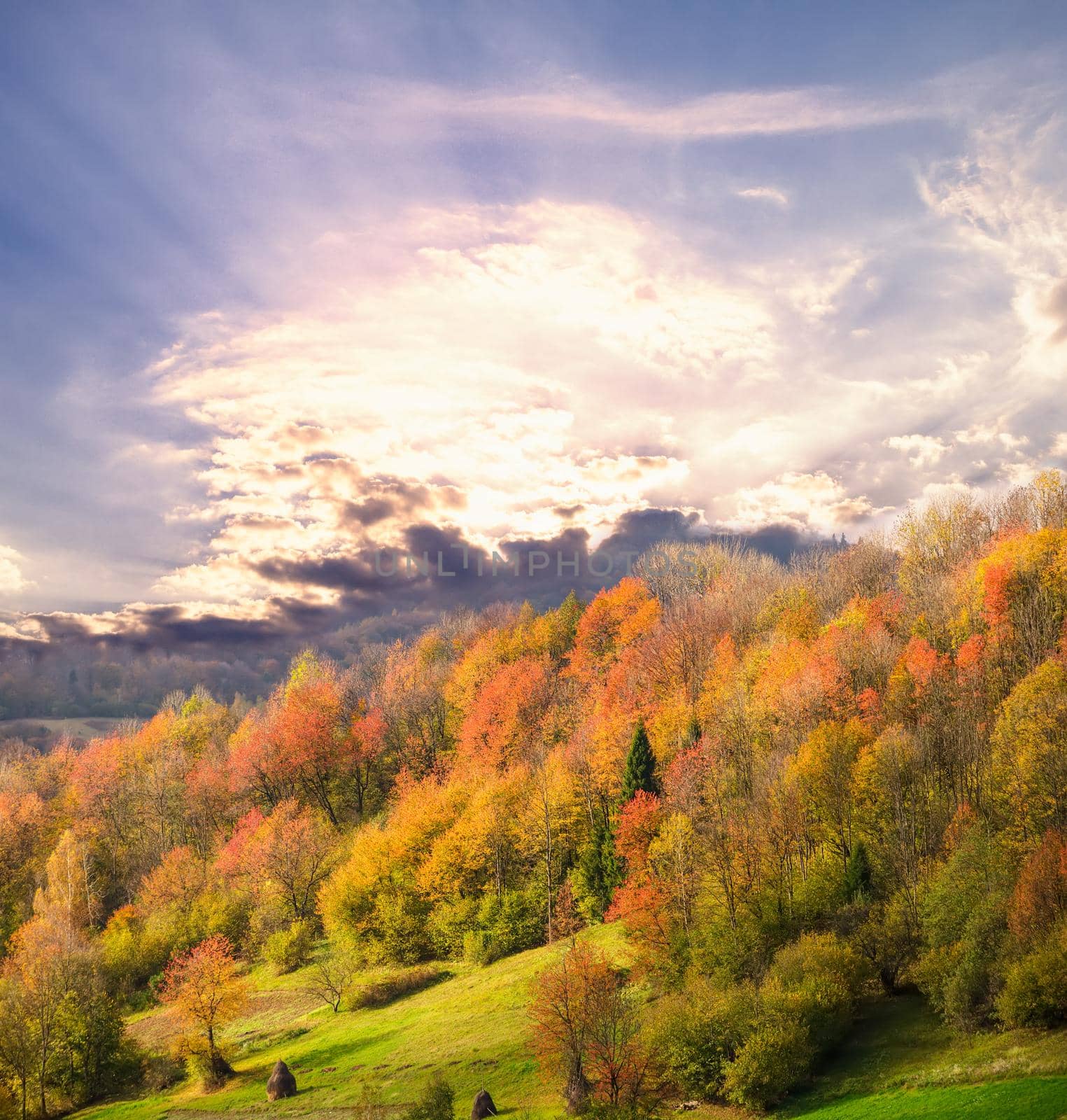 autumnal landscape by oksix