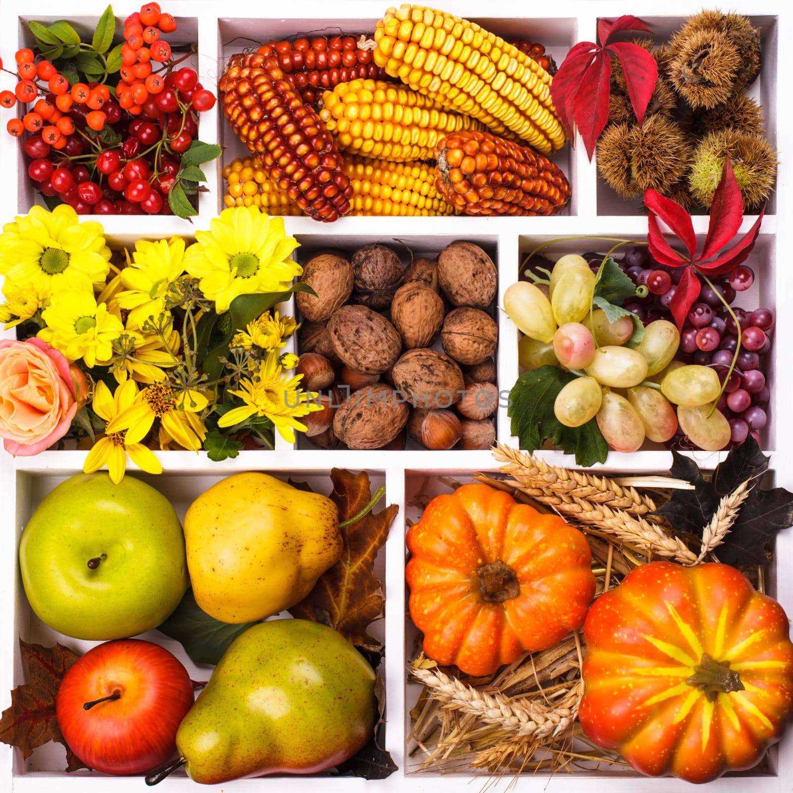 Autumn in a box - fruits, berries, nuts, flowers, corn and pumpkins