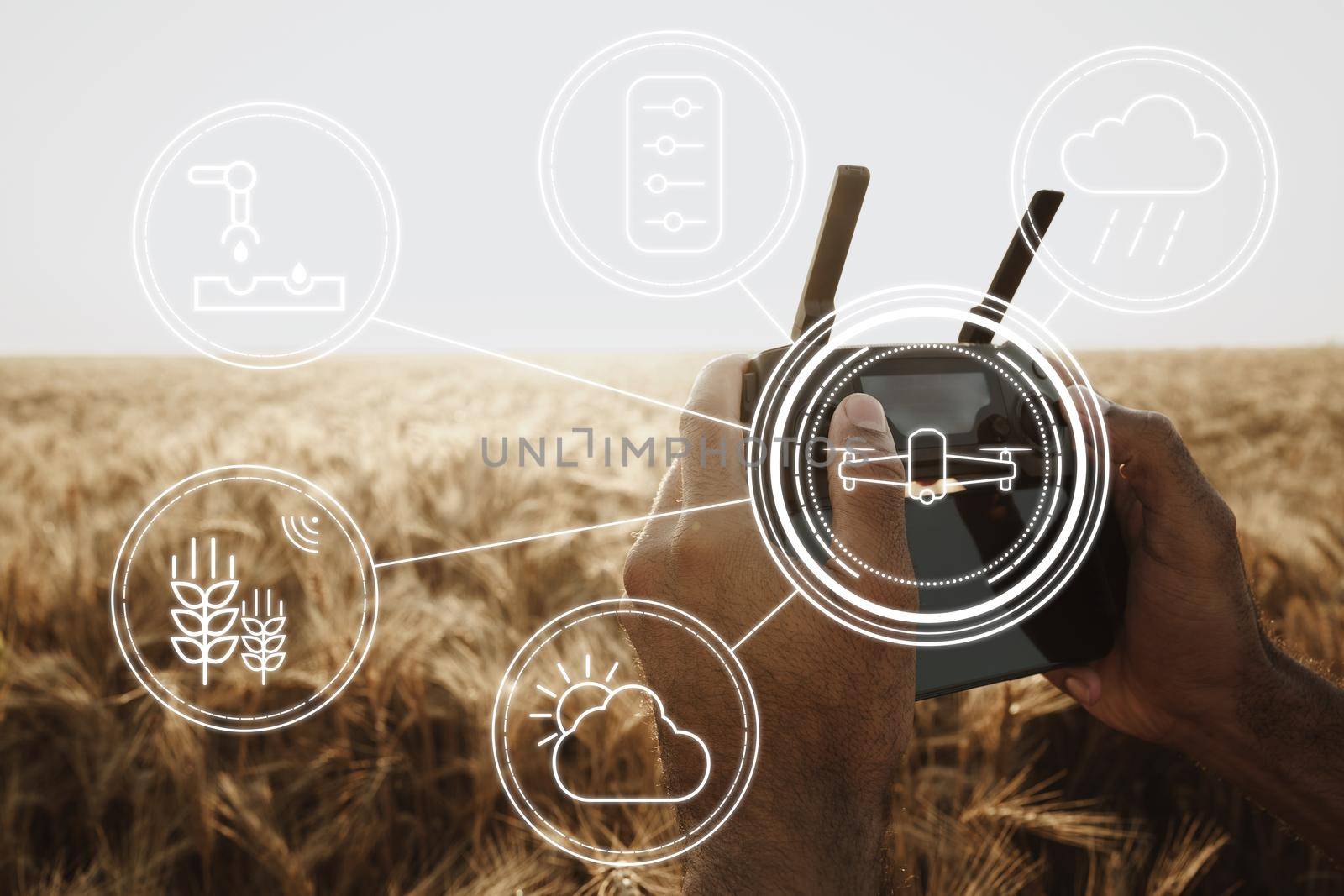 Man farmer standing in wheat field and controlling drone close up. Technologies in agriculture concept