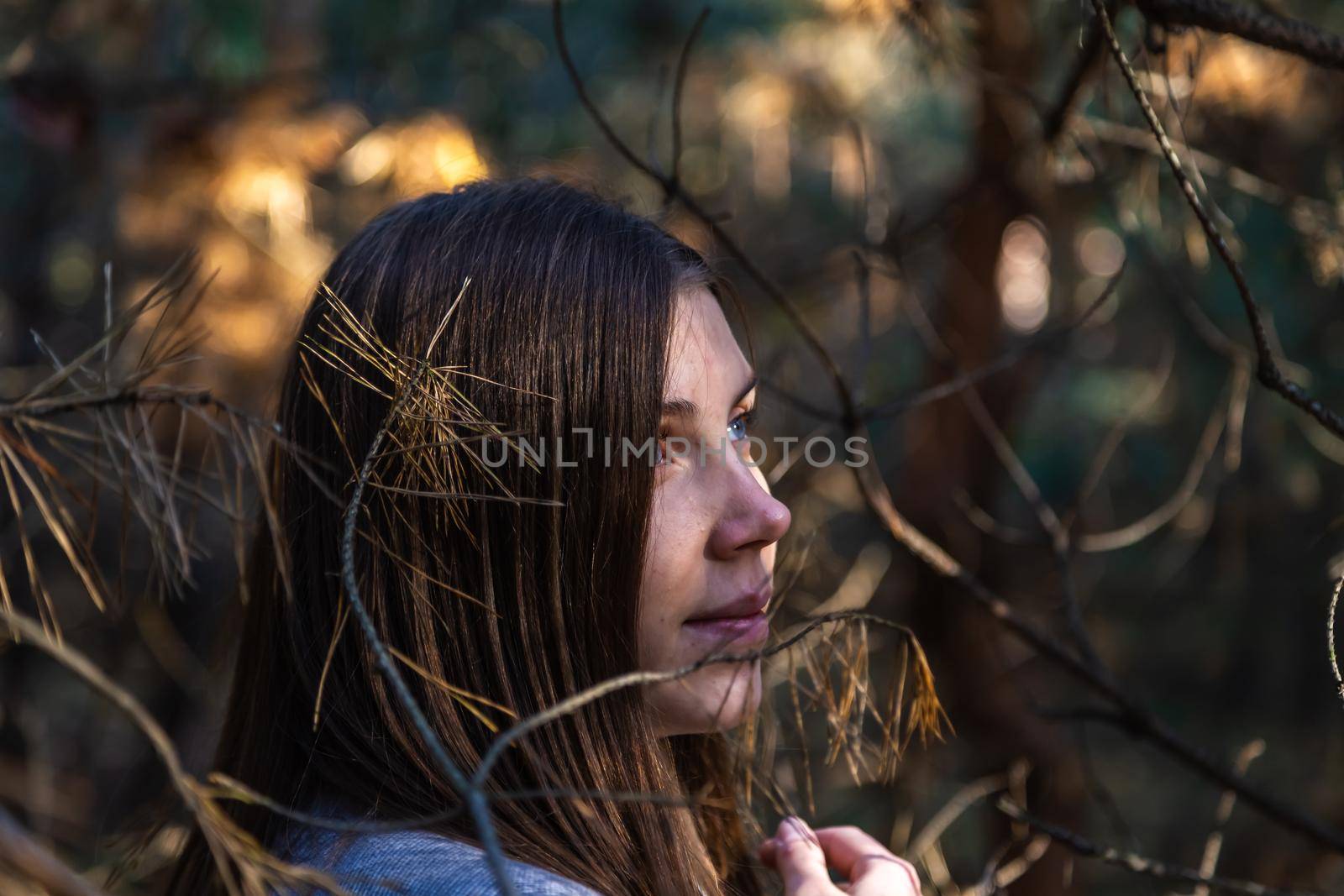 A cute girl with blue eyes looks at the sun through coniferous trees in the forest