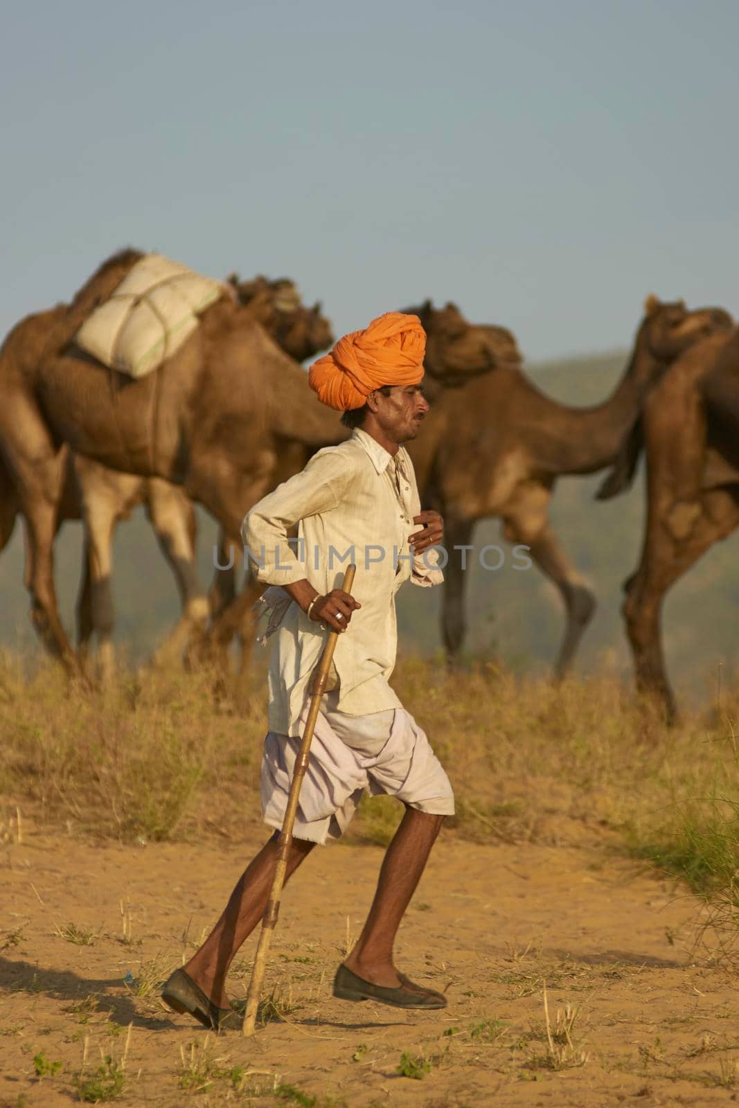 Camel Herder by JeremyRichards