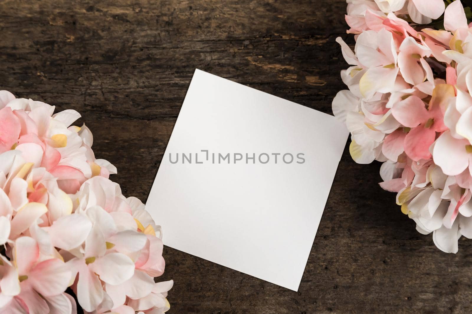 Pastel pink hydrangea flowers and a piece of paper on wood background. Copy space for text.