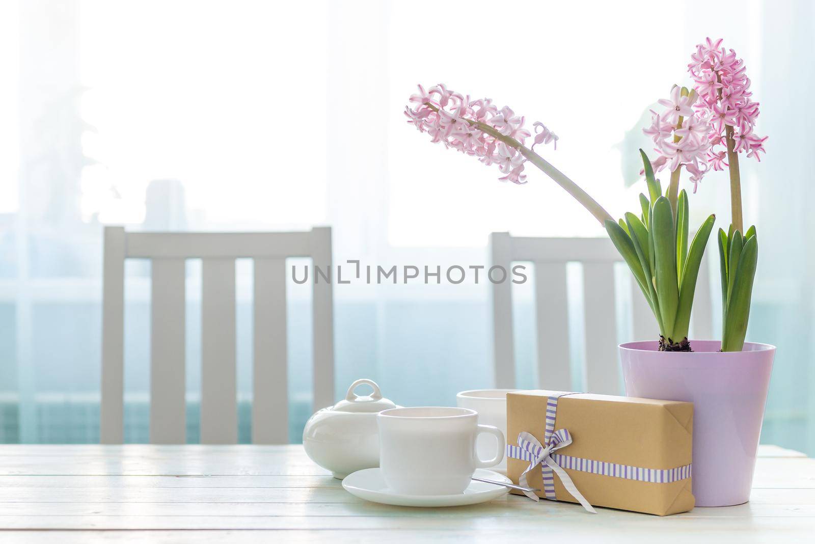 Present gift box with white cups of tea and pink flowers on the white table near window. Lovely spring holiday mood