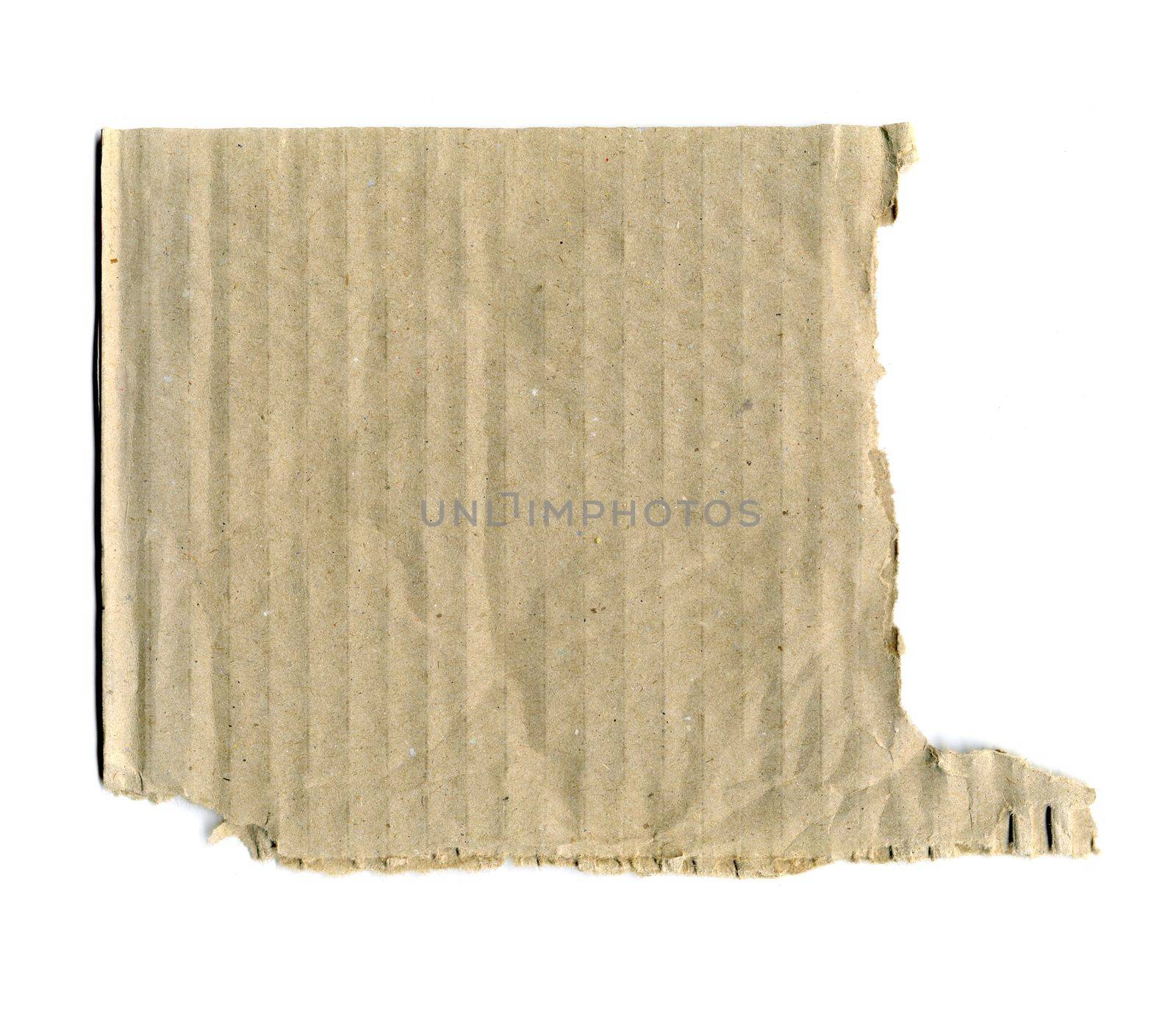 Brown corrugated cardboard torn isolated on white background with place for text