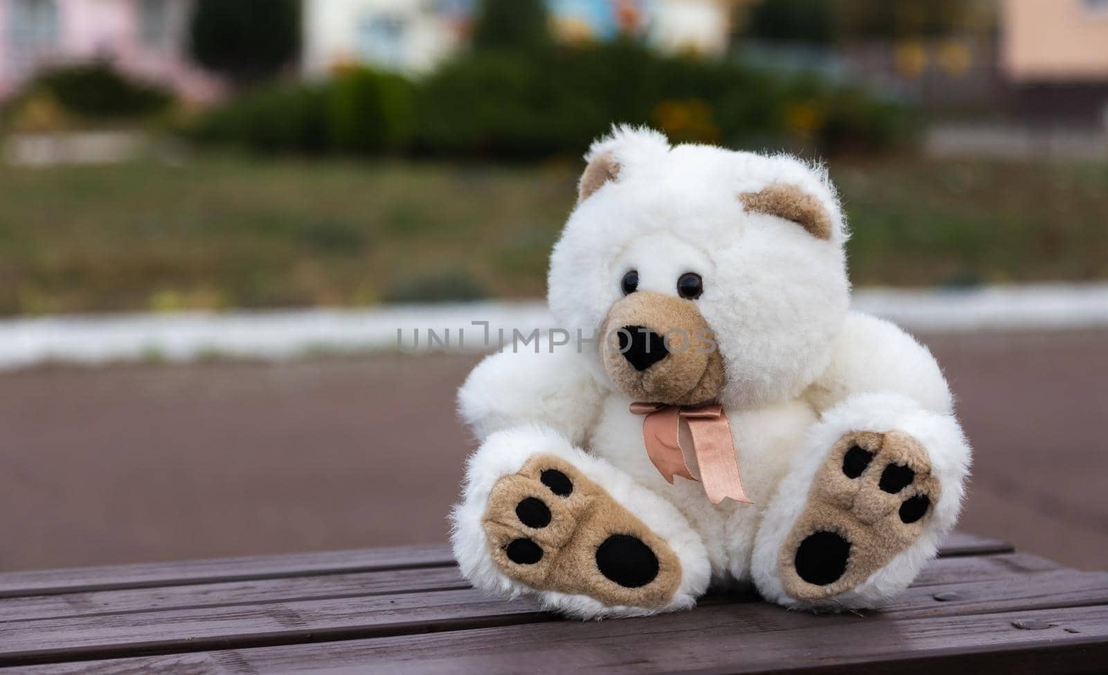 Sad lonely teddy bear. White fluffy teddy bear lonely sits on an old wooden bench in a overgrown garden.