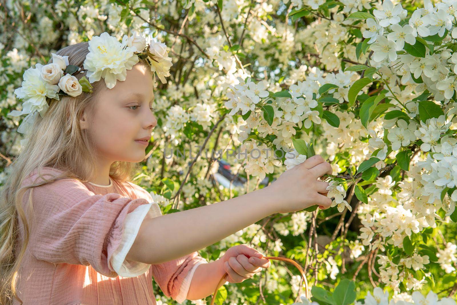 A girl sniffs a beautiful white apple tree, spring in the midst of the flowering of the apple tree is beautiful girl happiness he , park outdoor green summer woman, white blossom. Sexy wellness light woman meadow makeup fresh