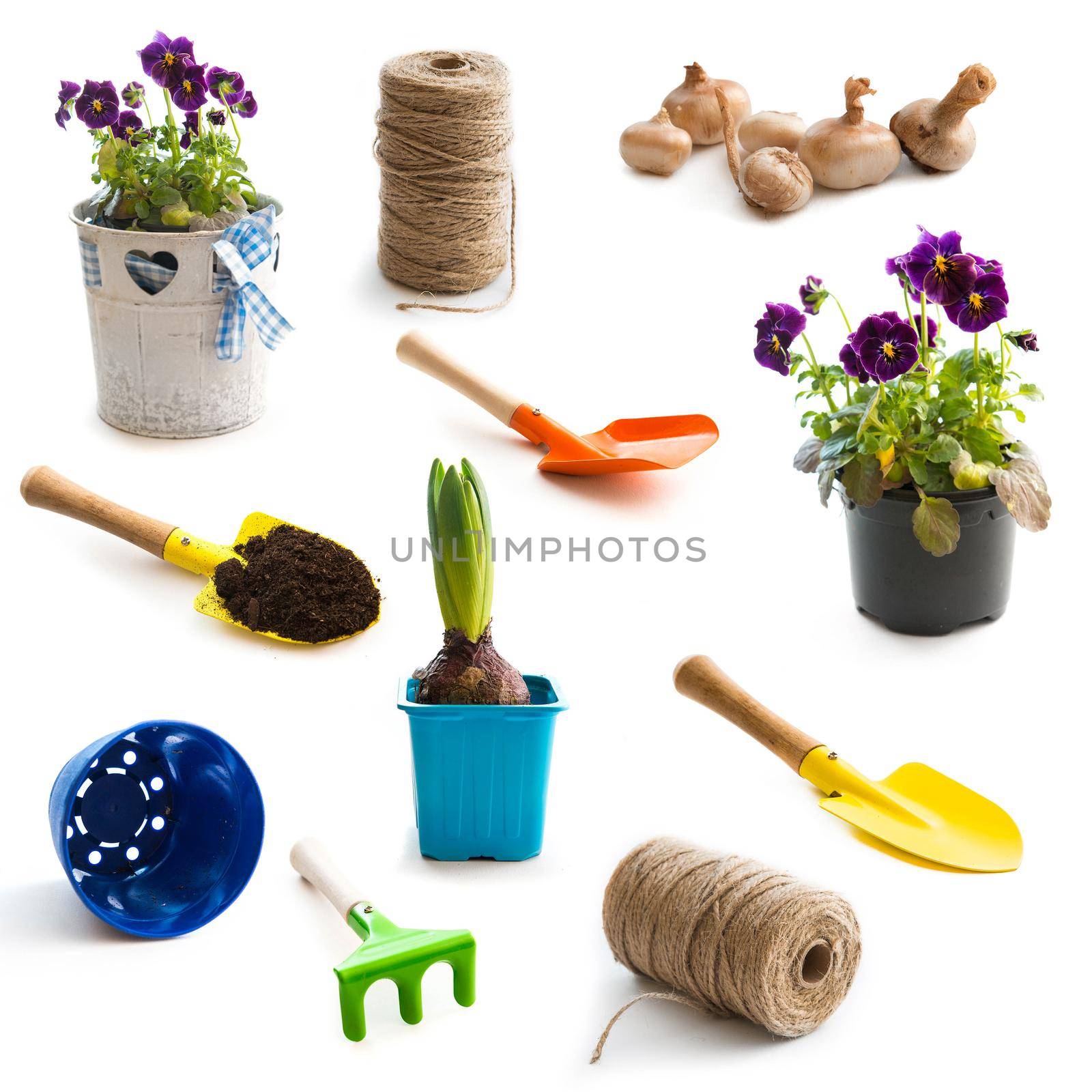 collage of isolated objects for gardening