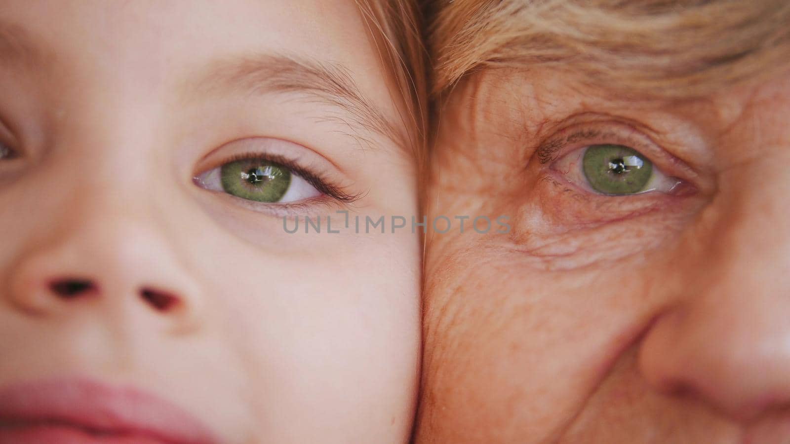 Close up portrait of grandmother and granddaughter. Green eyes