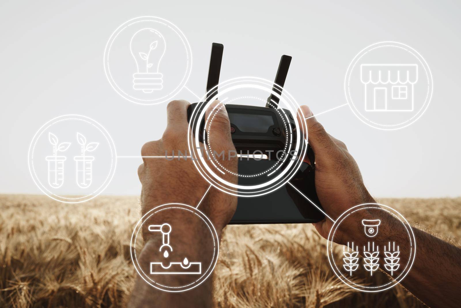 Man farmer standing in wheat field and controlling drone close up. Technologies in agriculture concept