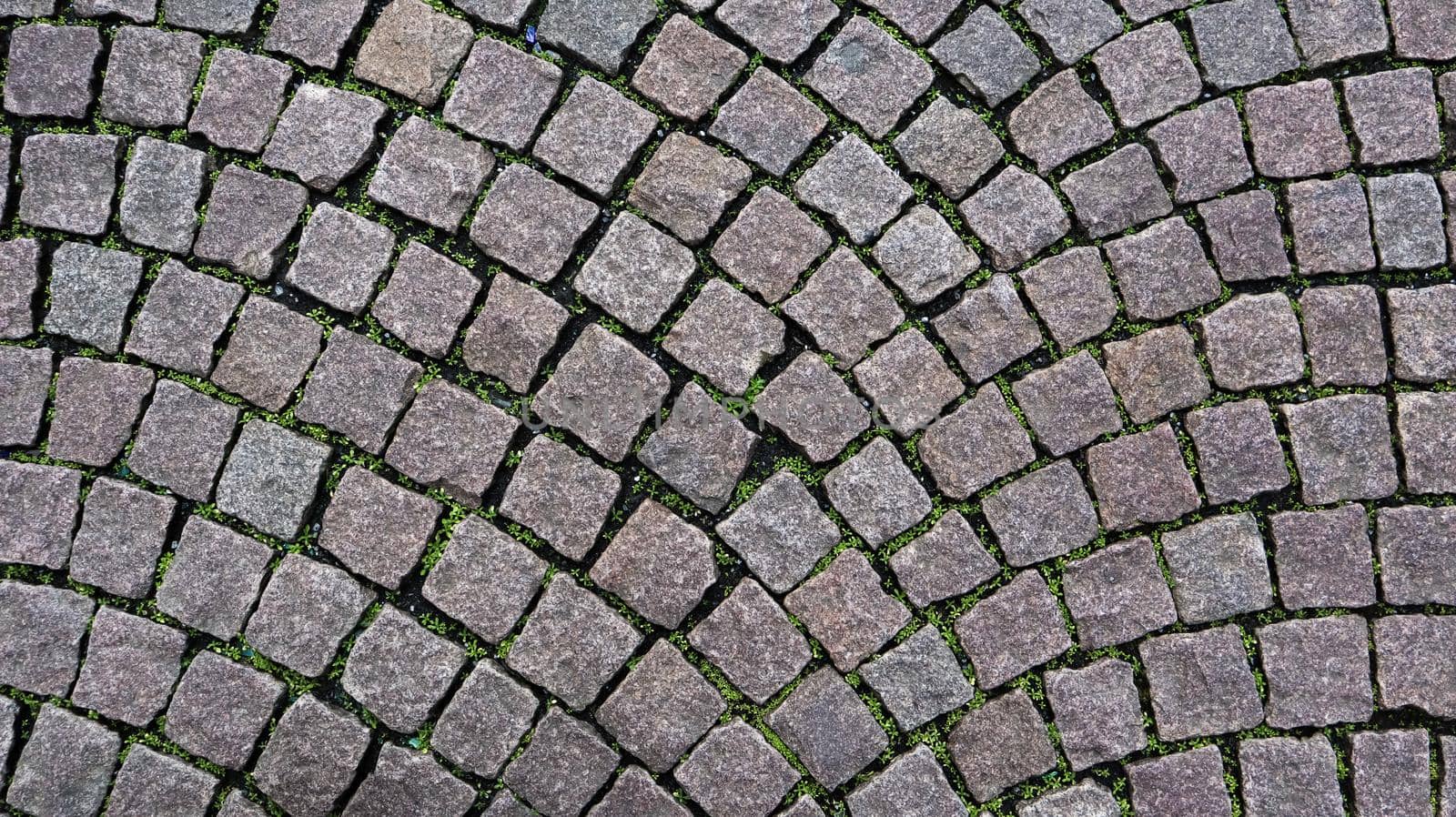 The texture of the paved tile of the street. Concrete paving slabs. Paving slabs. Grass between the slabs. Texture of paving slabs overgrown with grass. Background image of a stratum stone.