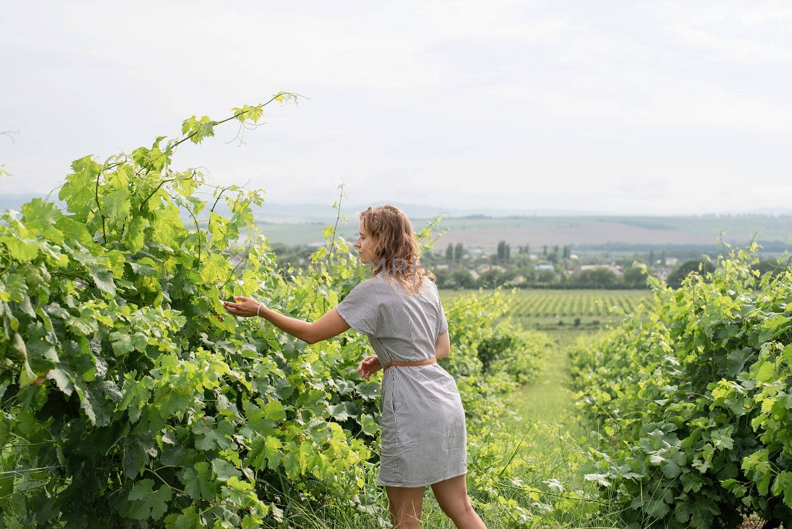 woman in summer dress walking through the vineyard smelling the grapes