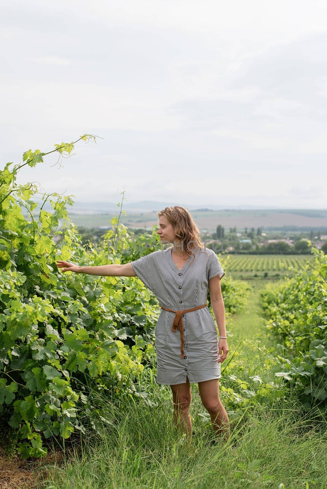 woman in summer dress walking through the vineyard touching the leaves