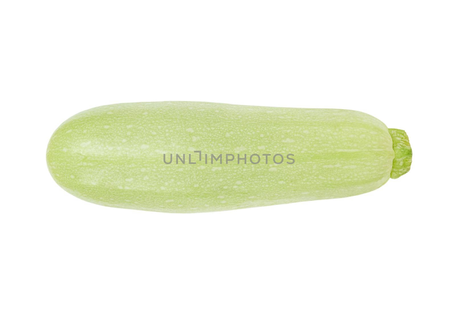 One zucchini courgette isolated on a white background.