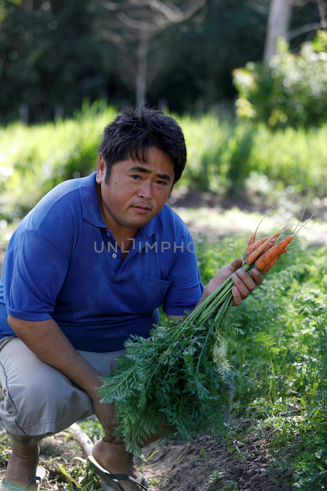 japanese working in agriculture by joasouza