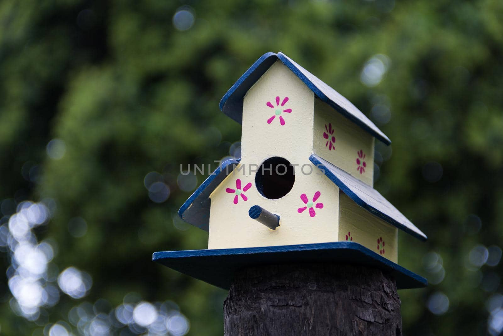 handmade houses for birds hand painted on the tree trunk in spring by GabrielaBertolini