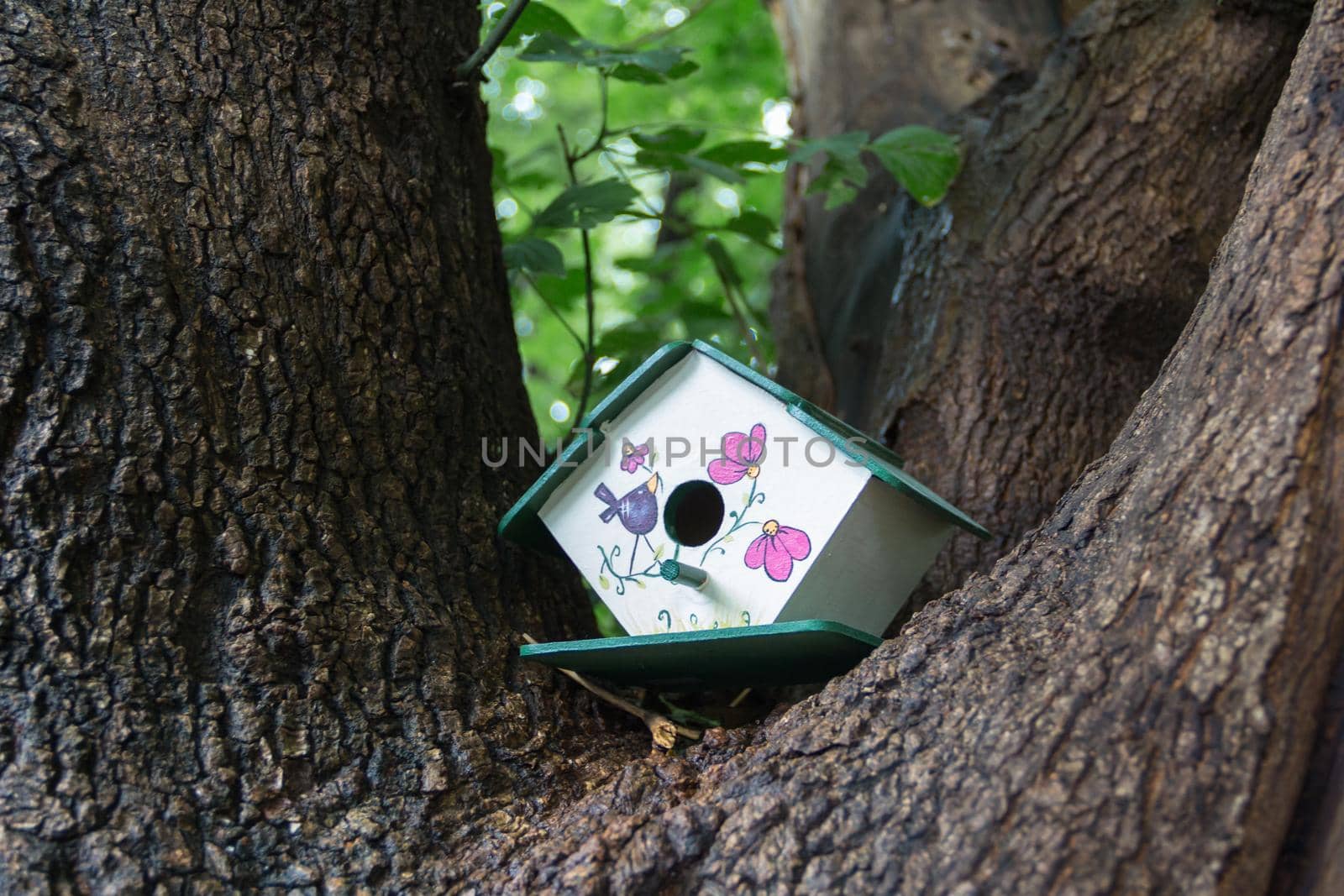 handmade houses for birds hand painted on the tree trunk in spring by GabrielaBertolini