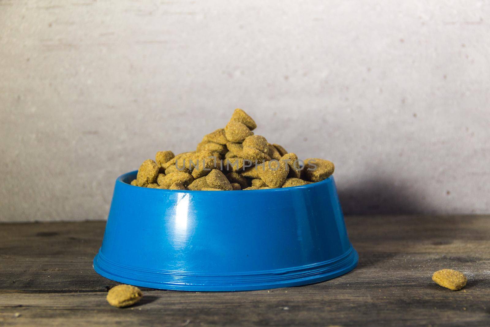plastic plate with balanced food for dogs and cats by GabrielaBertolini