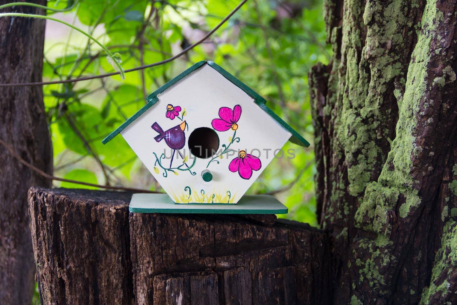 handmade houses for birds hand painted on the tree trunk in spring by GabrielaBertolini