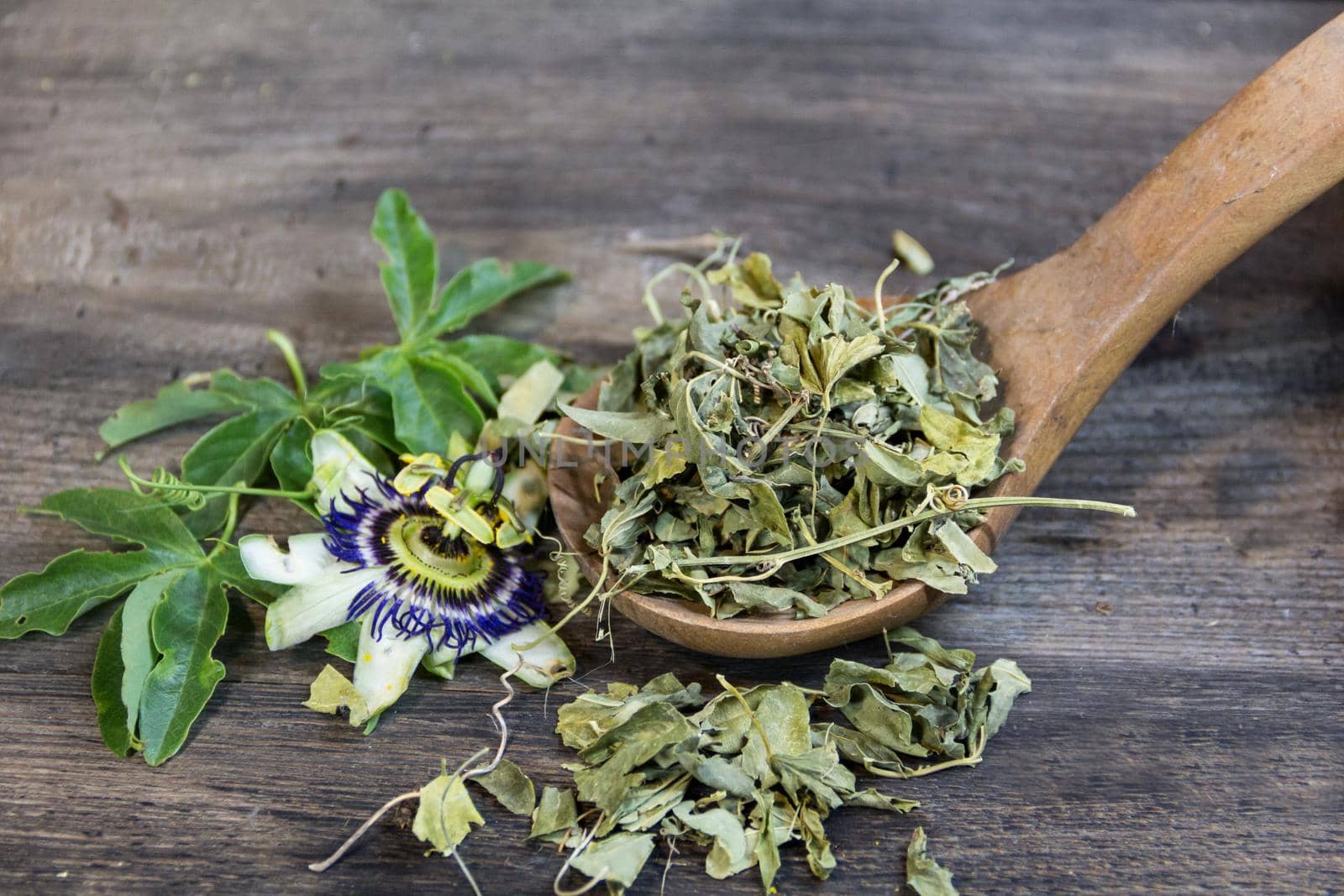 dried leaves of passiflora to drink sedative tea by GabrielaBertolini