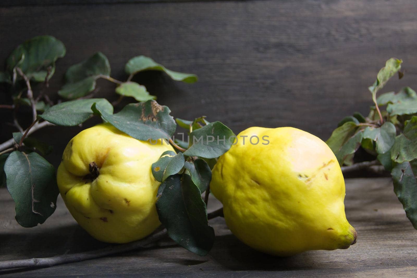 Quince leaves and fruits on rustic wood by GabrielaBertolini