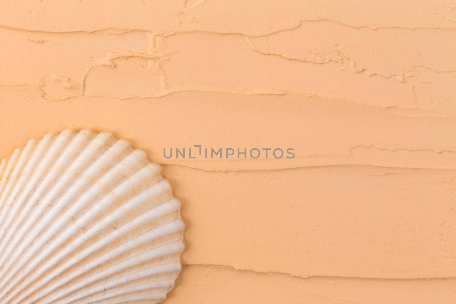 Isolated seashell on a beige background. Close-up of shell.