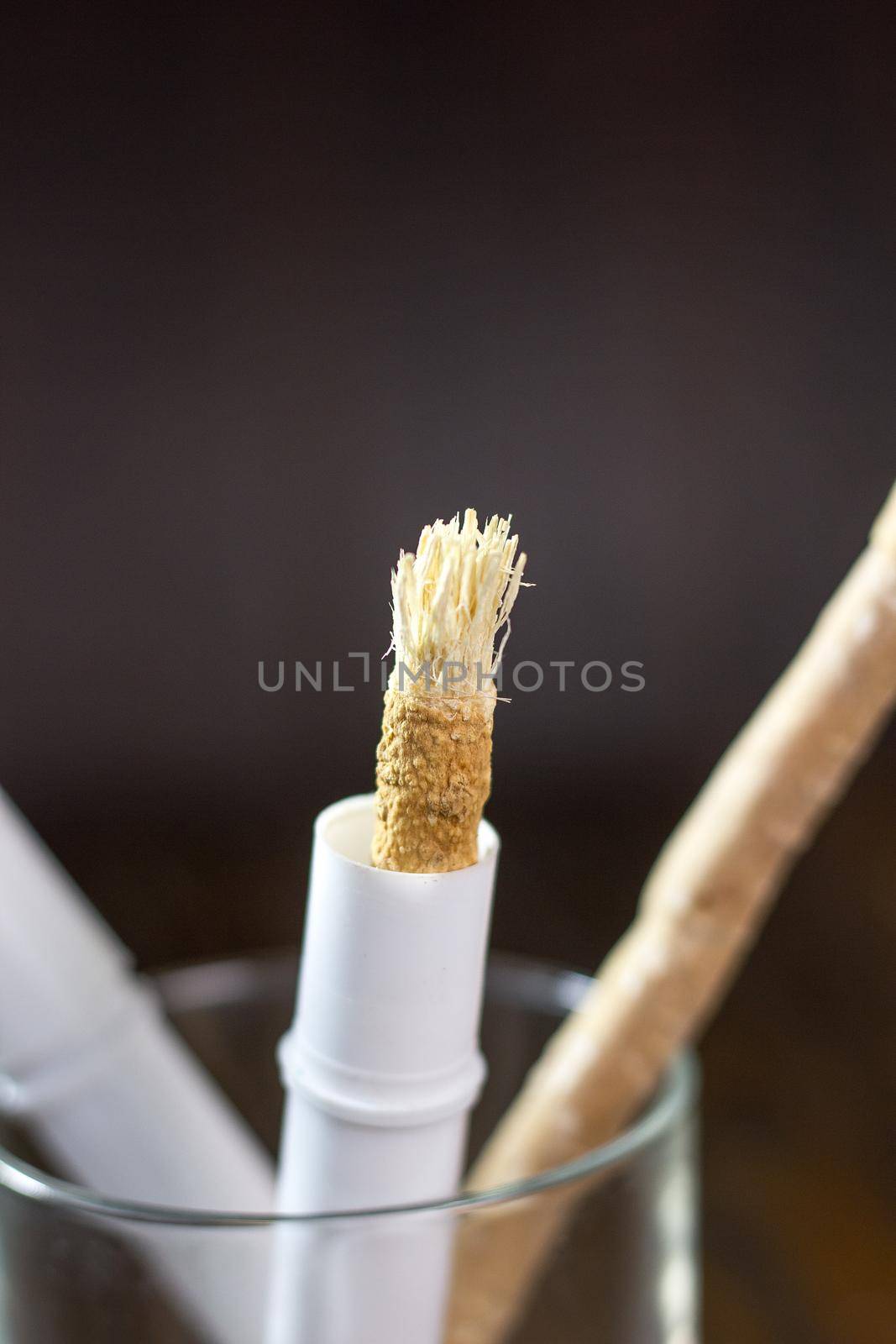 Miswak or siwak in a glass. Great photo for your needs.