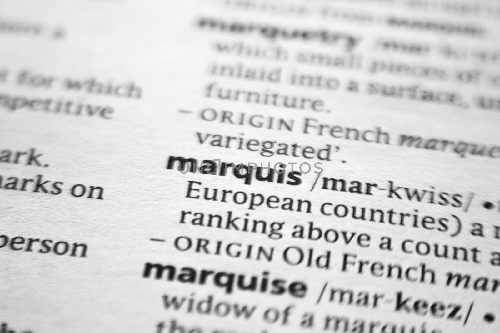 Word or phrase Marquis in a dictionary