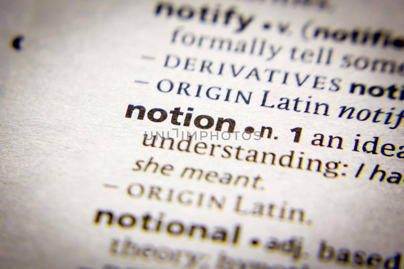 Word or phrase Notion in a dictionary