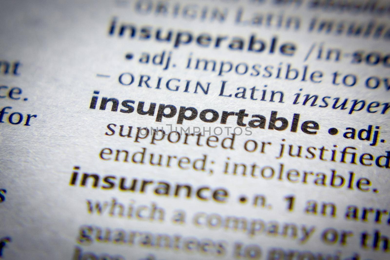 Word or phrase Insupportable in a dictionary