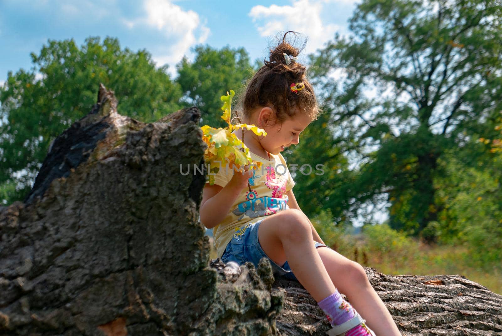 Little girl having fun on the big tree in the oak forest.