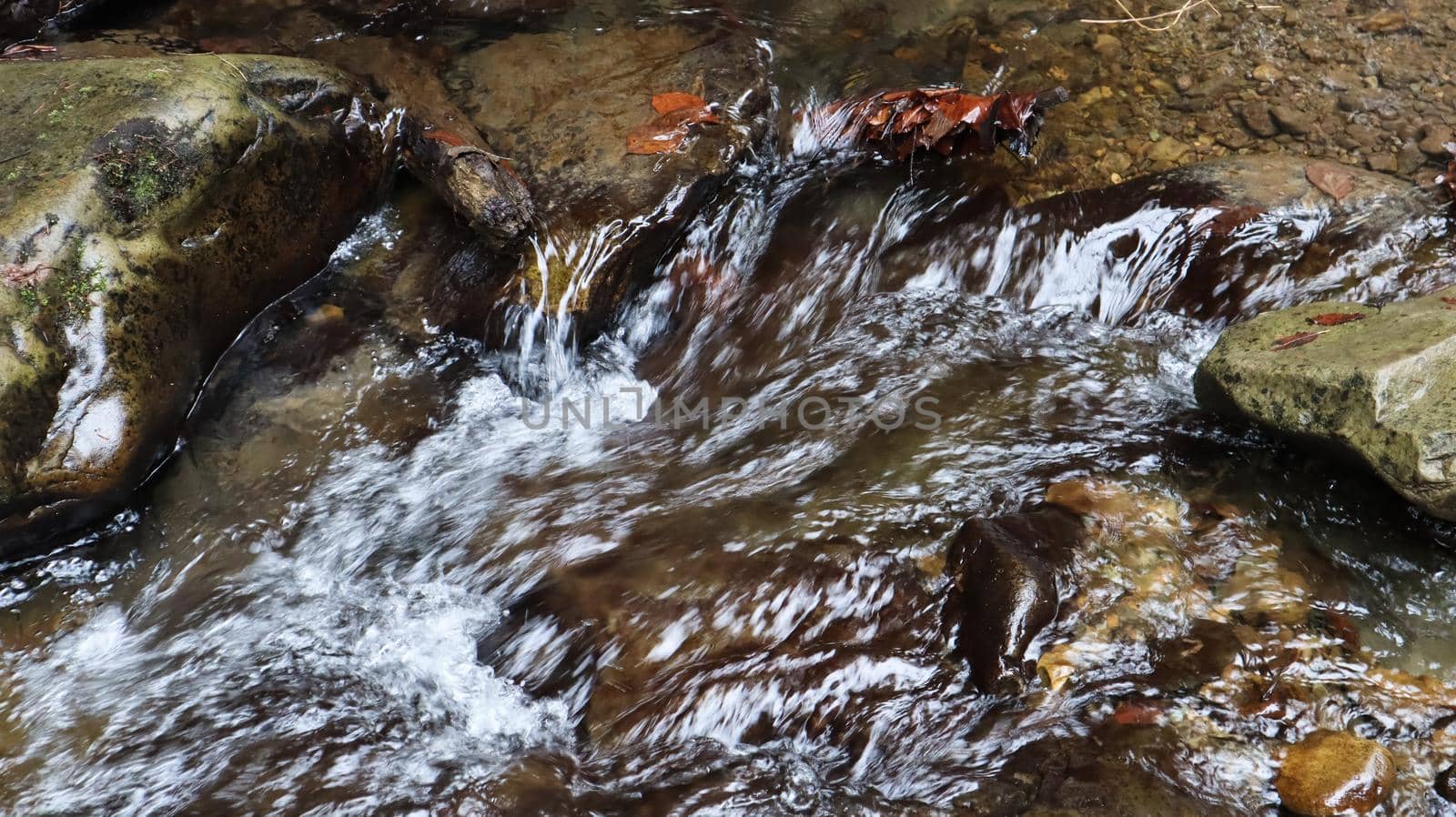 Landscape of a mountain river in the forest in early autumn and late summer. water in a natural stream. beautiful and relaxing forest with a river. River deep in mountain forest. Nature composition