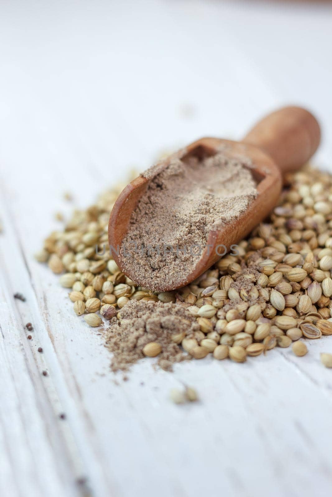 Coriander seeds on a white table and grounded spice in wooden spoon