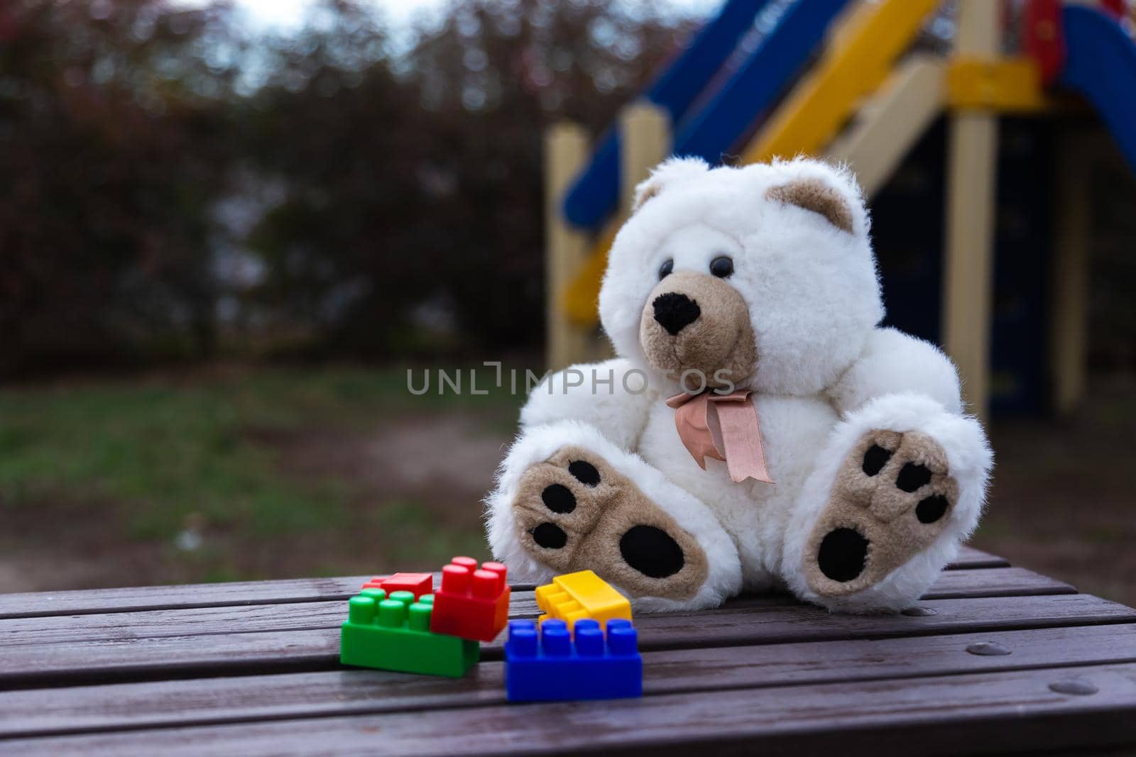 Sad lonely teddy bear. White fluffy teddy bear lonely sits on an old wooden bench in a overgrown garden.