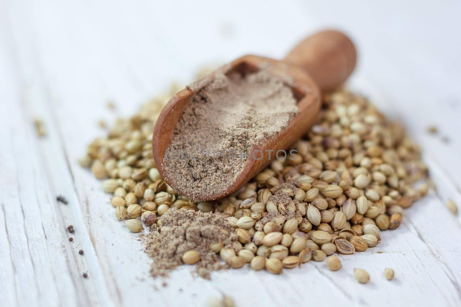 Coriander seeds on a white table and grounded spice in wooden spoon