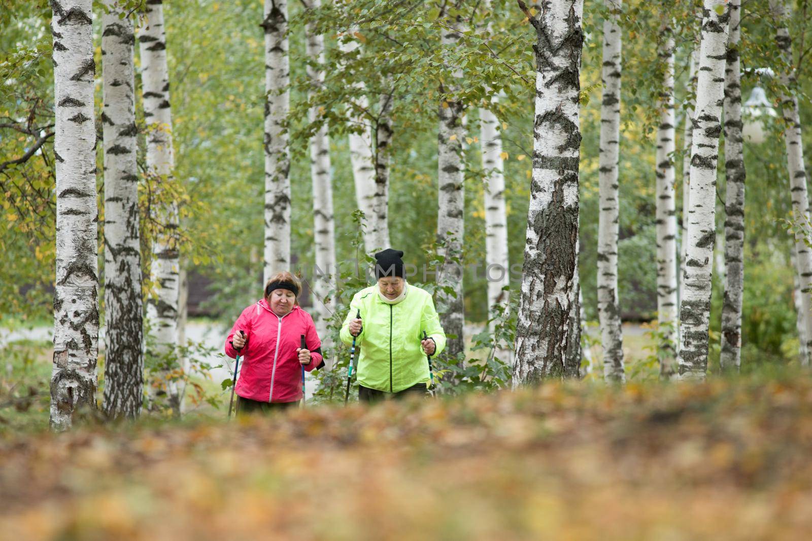 Old women throwing leaves into the air in an autumn park. Going upwards. Mid shot