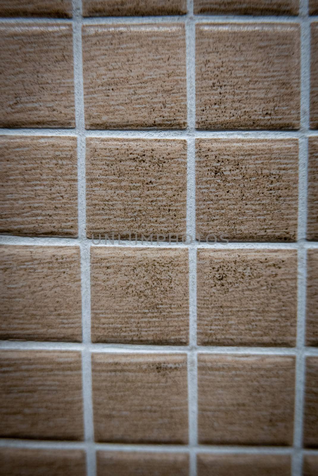 Brown ceramic mosaic on the wall as background.