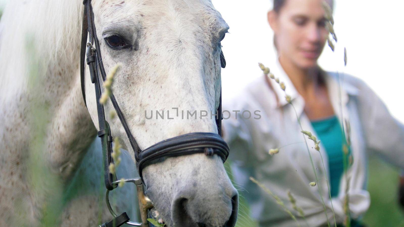 Portrait of the young women with her brown horse. Mid shot