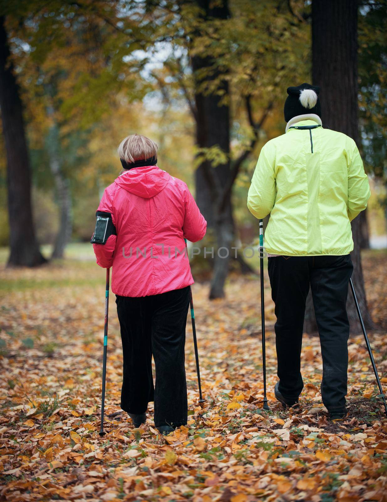 Two puffer jacket dressed elderly women are involved in Scandinavian walking in the park in off-road in the middle of the trees. Back view by Studia72