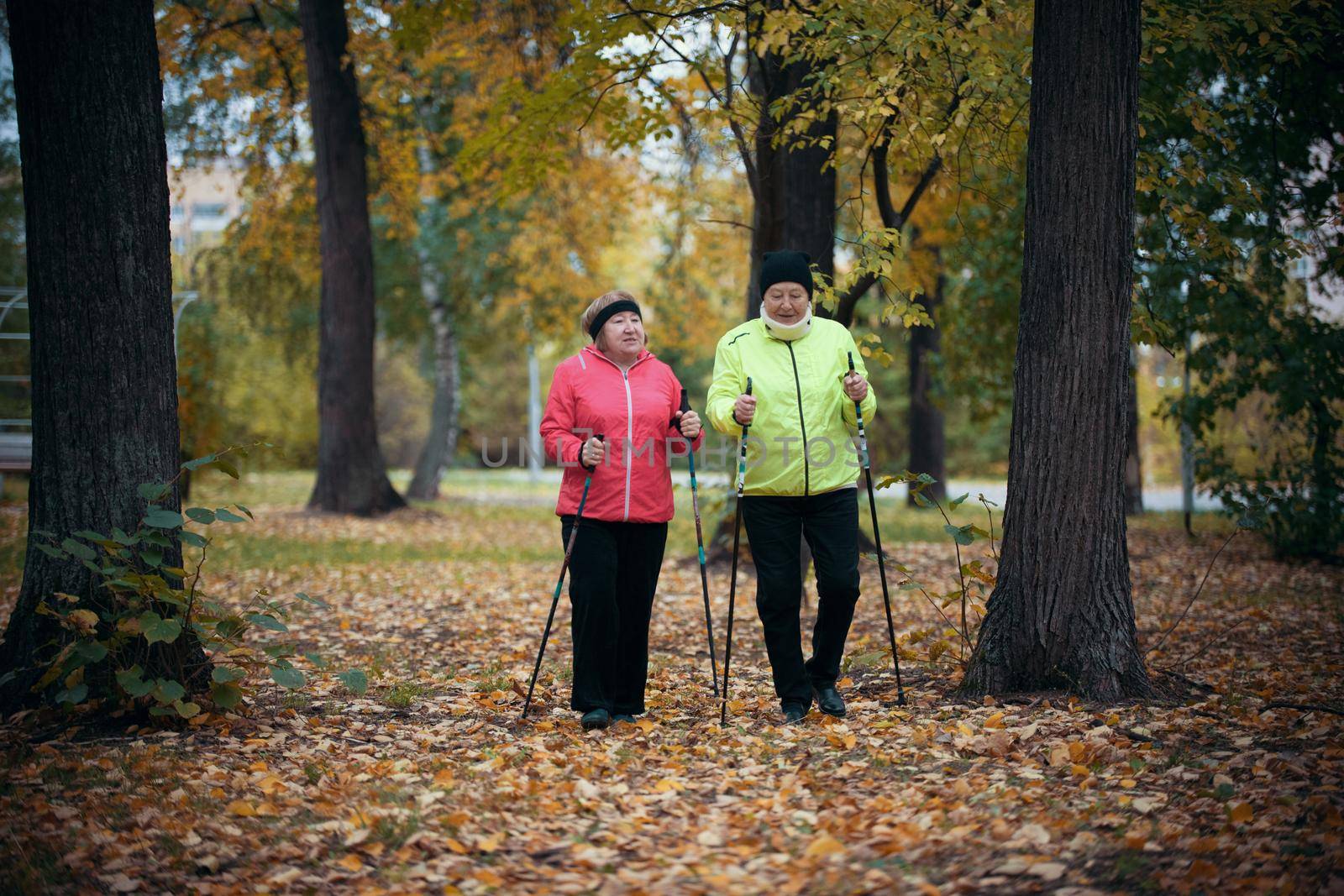 Two elderly women are involved in Scandinavian walking in the park in off-road in the middle of the trees. Wide shot